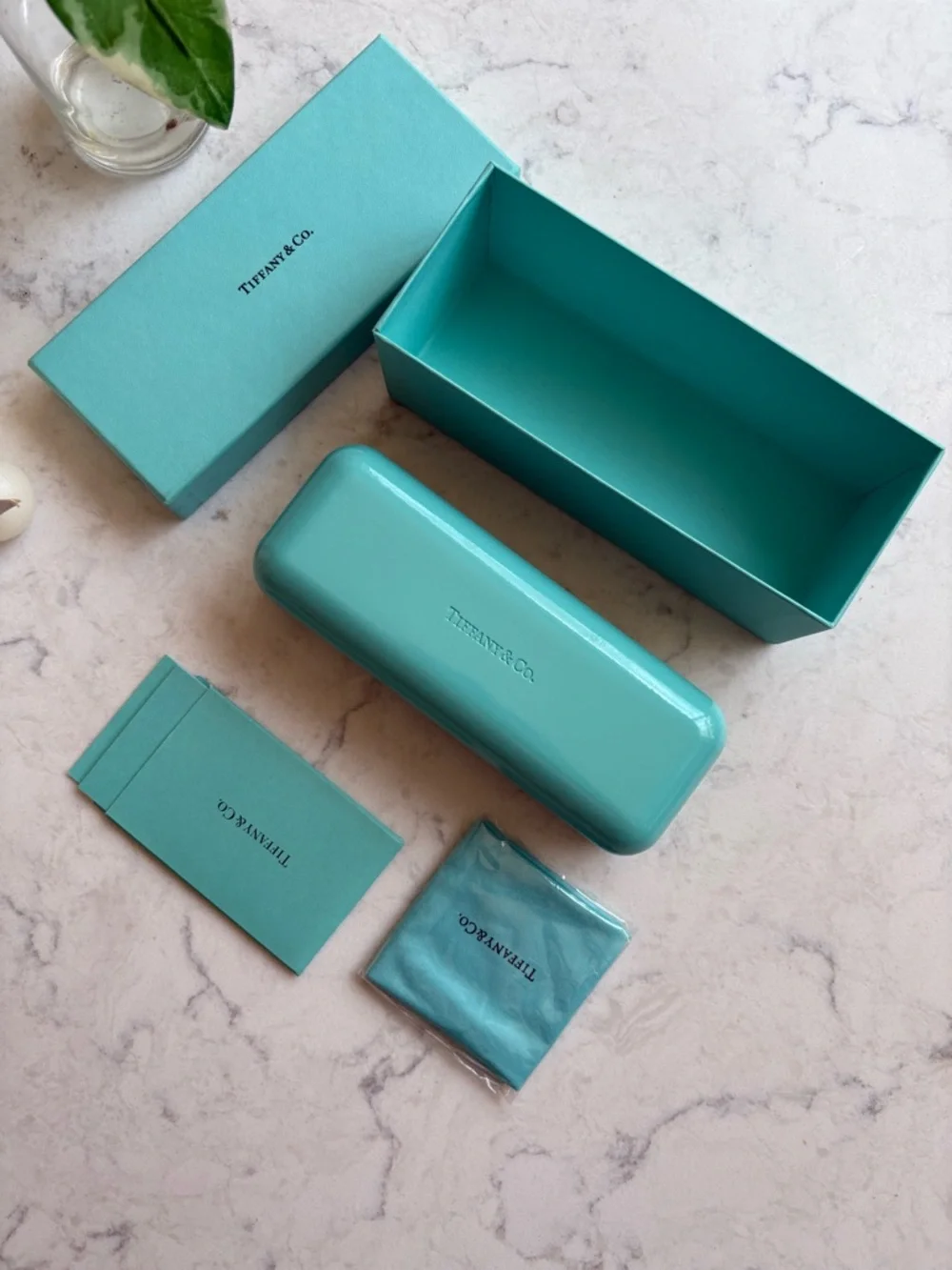 Tiffany & Co. Robin's Egg Blue Eyewear Case and Box Set